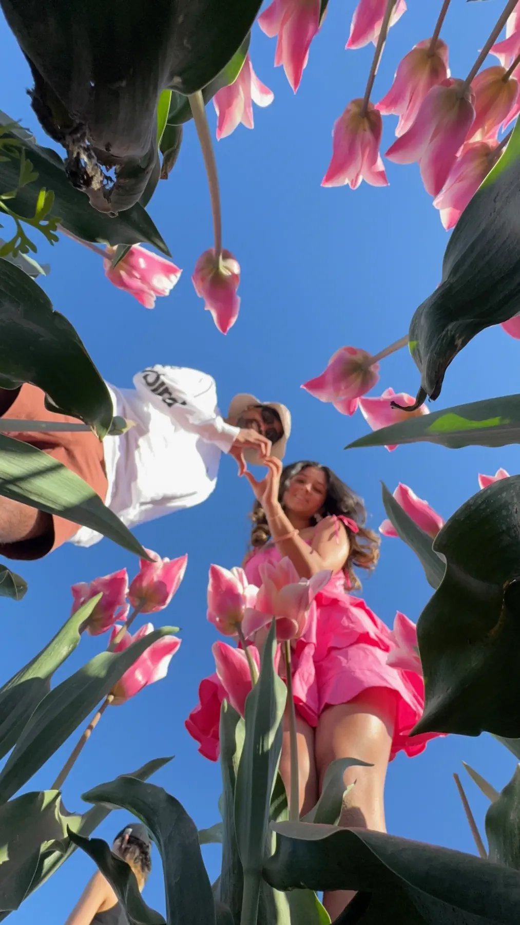 Naga and Lata among towering pink tulips, seen from below